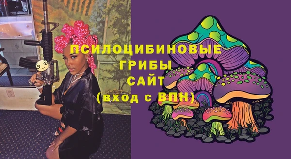 apvp Арсеньев
