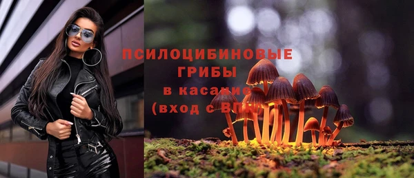 синтетический гашиш Армянск